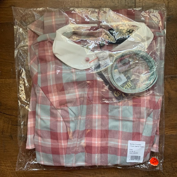 Collectif Marika Princess Check Swing Dress - Picture 10 of 11